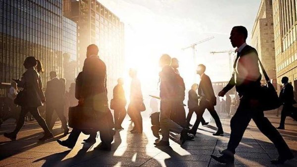 海通富配资 粤宏远A：2024年净亏损4769.84万元，同比由盈转亏