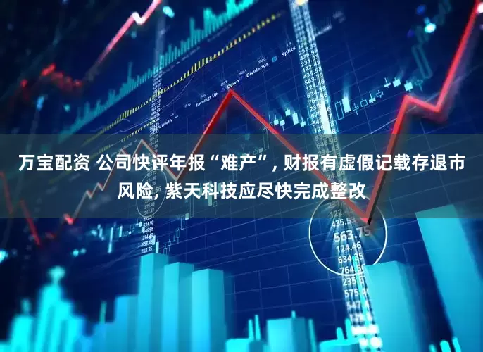 万宝配资 公司快评年报“难产”, 财报有虚假记载存退市风险, 紫天科技应尽快完成整改