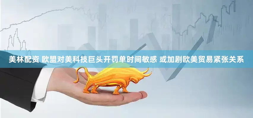 美林配资 欧盟对美科技巨头开罚单时间敏感 或加剧欧美贸易紧张关系