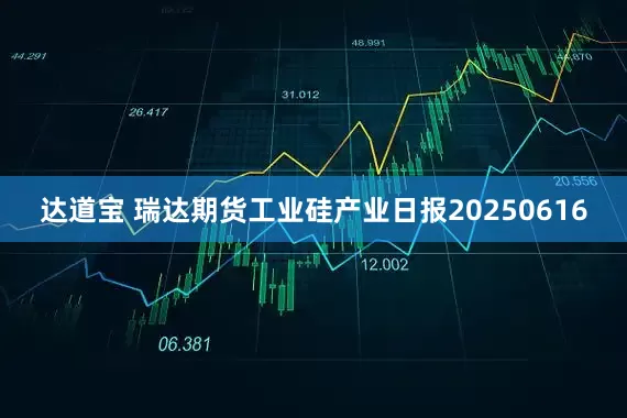 达道宝 瑞达期货工业硅产业日报20250616