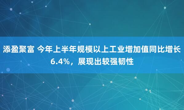 添盈聚富 今年上半年规模以上工业增加值同比增长6.4%，展现出较强韧性